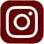 Instagram Icon